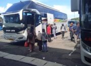 Mudik Gratis, Pemkot Pekalongan Siapkan 2 Armada Bus