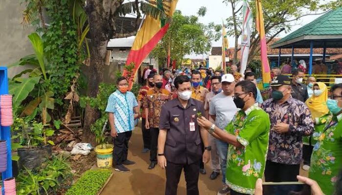 Dinperpa Bagikan Bibit Tanaman Gratis Bagi Masyarakat Kota Pekalongan