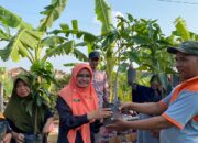 Tanam Bibit Buah Dengan Planter Bag, Upaya Kelurahan Padukuhan Kraton Adaptasi Perubahan Iklim