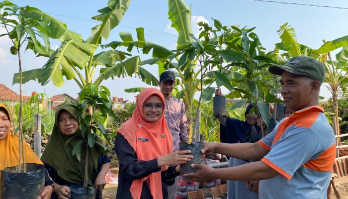 Tanam Bibit Buah Dengan Planter Bag, Upaya Kelurahan Padukuhan Kraton Adaptasi Perubahan Iklim