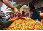 Lonjakan Harga “Barito” Bayangi Manado Menjelang Idul Adha