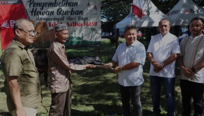 Bank SulutGo Berikan Bantuan 35 Sapi Kurban untuk Idul Adha 1445 H
