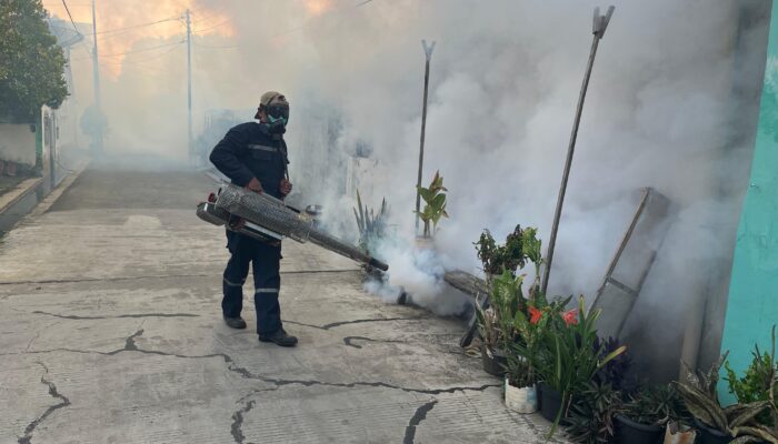Tidak Asal, Fogging Wajib Dilakukan Sesuai Kriteria