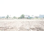 Kembalikan Kejayaan Mina, Pabrik Tepung HPI Bakal Dibangun di Technopark Pekalongan