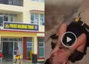 Sadis! Bocah 12 Tahun Diduga Dianiaya Bos Tambang Ilegal Ali Kenter di Boltim