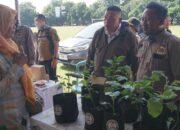 Semarak Hari Pangan Sedunia, Tani Merdeka Dorong Kemandirian Pangan Lewat Produk dan Aksi Sosial